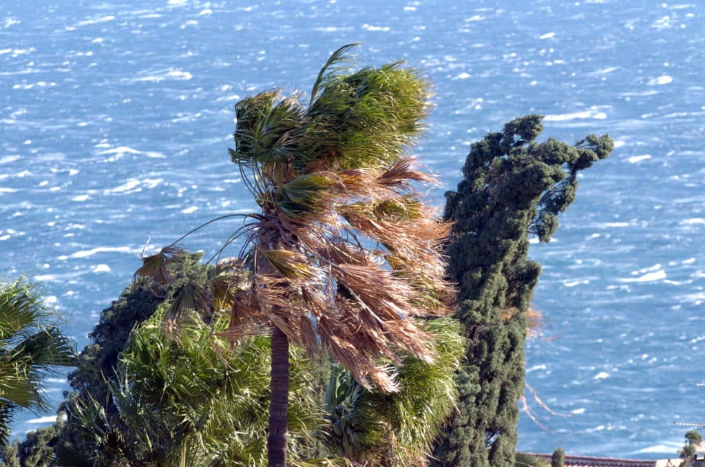 AEMET gibt gelbe Warnung heraus: Starke Winde und Küstenwarnungen auf den Kanarischen Inseln