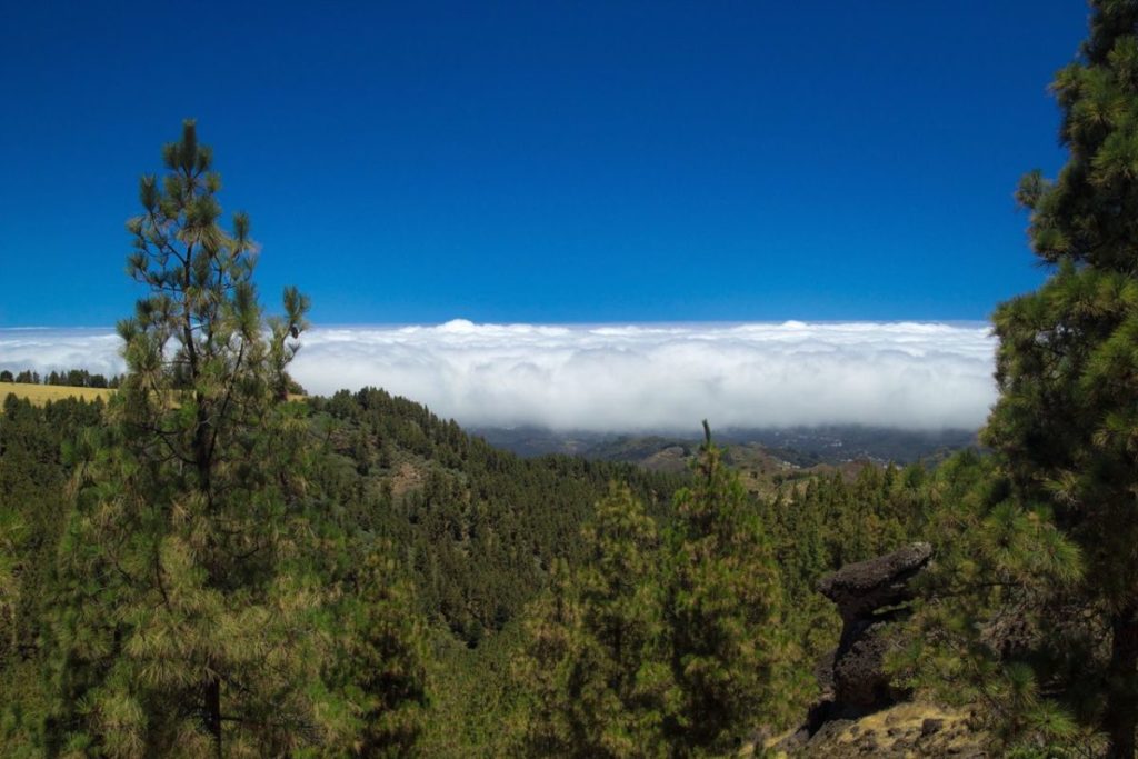 Wetter auf den Kanarischen Inseln: AEMET kündigt Regen und sehr starke Windböen zum Wochenende an