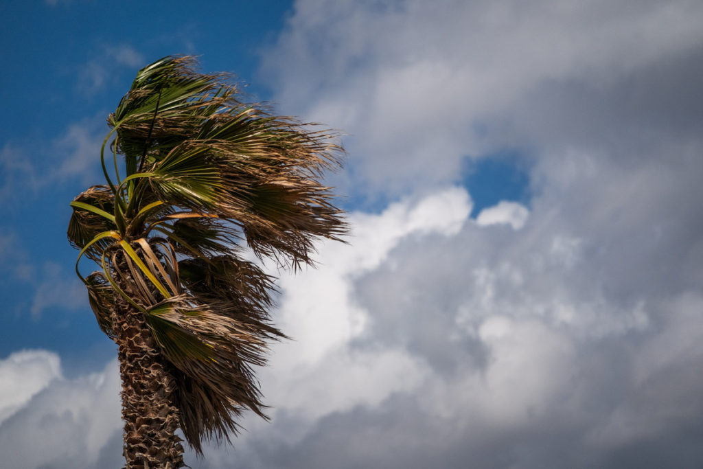 Aemet bestätigt Wetterumschwung auf den Kanarischen Inseln: Windböen bis 70 km/h und sinkende Temperaturen
